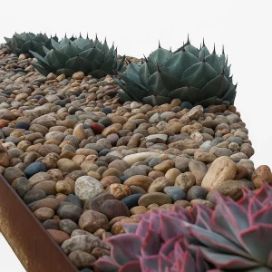 Decorative Rock & Pebbles | 1/2" - 1" Sonora Shine Pebble