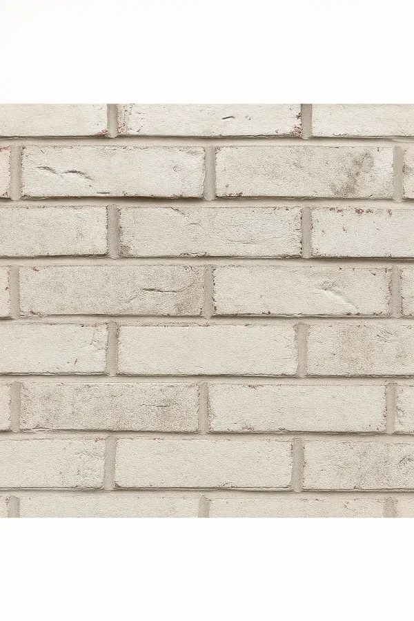 Glen-Gery Cloudscape Thin Brick Flats