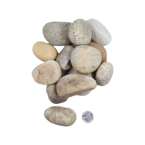 Mexican Beach Pebble 1- 2 Buff Mexican Beach Pebble
