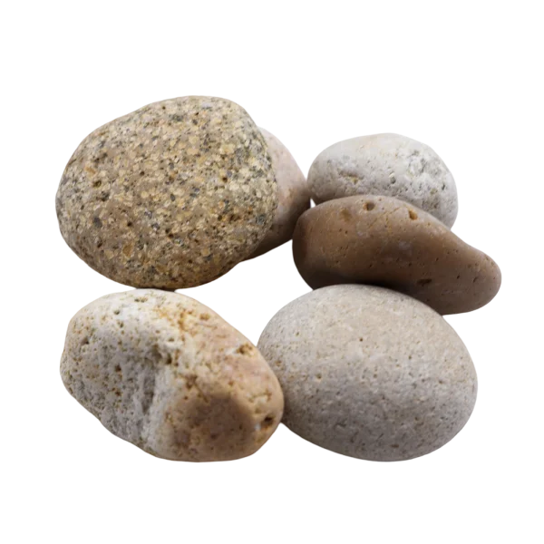 Mexican Beach Pebble 2- 3 Buff Mexican Beach Pebble