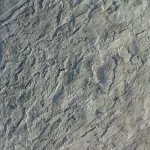 Bluestone SuperFlex Skin Concrete Stamp