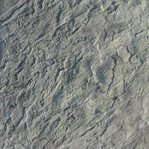 Bluestone Touch-Up Skin Concrete Stamp