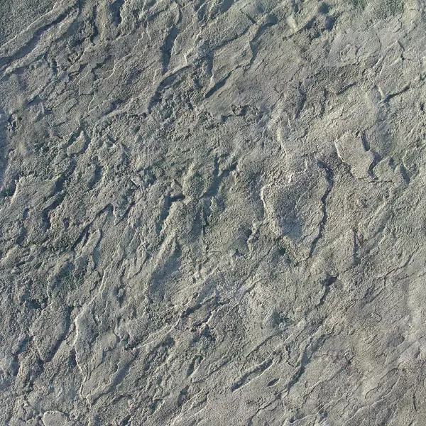 Bluestone Touch-Up Skin Concrete Stamp